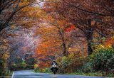 「The Great Japan Roadtrip」ムルティストラーダで日本一周の画像